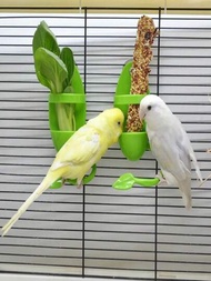 1入組塑膠鸚鵡鳥餵食器,鳥玩具鸚鵡用品蔬菜水果籃子鸚鵡餵養杯子