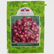 800 Butir Benih Bawang Merah Sanren Exp 2026