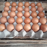 Chicken eggs Country chicken eggs/ 30 pcs (1 board 1.88 kg/) HT