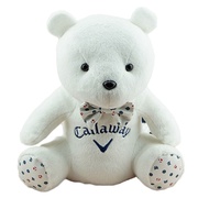 Korea original PXGˉ DESCENNTE FootJoyˉ J.LINDEBERG Callawayˉ Titleist Scotty Cameronˉ ANEW MARK LONA