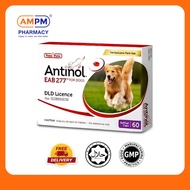 [AM PM Pharmacy] Antinol EAB 277 for Dogs | 1 Box/60 Softgel Capsules | Increase mobility and moveme