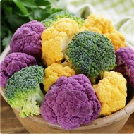 Colorful Cauliflower Seeds Four Seasons Pine Cauliflower Seeds Green Stem Taiwan Cauliflower Seeds V