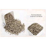 [SG SELLER] 1kg l Pumice Stone Rock Pumice Lava Rock Stones Landscape Aquarium AquaScape Gardening P