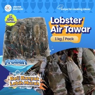 Crawfish/Lobster Air Tawar Jumbo isi 11-15/kg