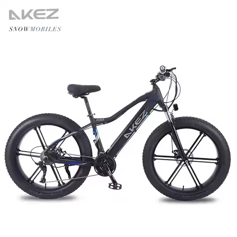Electric Bike 750W motor 48V 10AH Lithium Battery Electric bicycle 26 Inch Tire Can be ridden on all