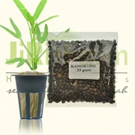 700 Biji Benih Kangkung Cabut