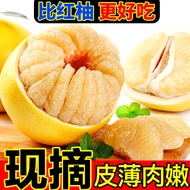 Grapefruit White Heart Miyou Thin Skin Fruit Fresh Plain Boiled Pork Fresh Thin Skin Succulent Fresh Picking Grapefruit