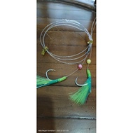 apollo/perambut 2 mata