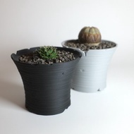 CBP005植木鉢 耐熱/室外/原創設計/多肉塊根植物/盆器盆栽/送禮