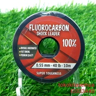 :=:=:=:==] 100% Fluorocarbon Hair Leader Fishing Line FC 40 LB ID333A40