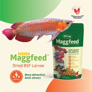 Arowana Super Red Arowana Feed Arowana Golden Red Maggfeed beta caotane 3 pcs maggfeed