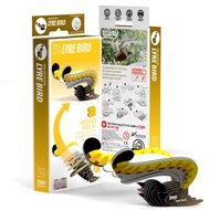 EUGY Dodoland - Birds (Tui, Owl, Parrot, Bald Eagle, Cockatoo, Kea, Kiwi, Kookaburra, Fairy Wren, Fa