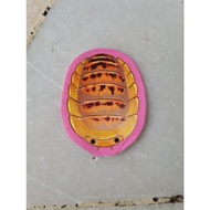 [Royalbeetle] Isopods stickers