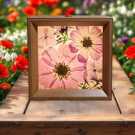 手作押花LED小夜燈 | 文創小夜燈 l 花瓣光影小夜燈