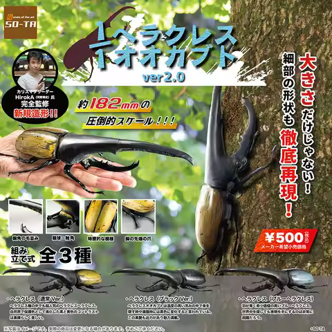 In Stock Japan So-Ta Hercules Beetle 1:1 Scale Dynastinae South American Beetle Insect Model Gashapo