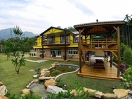 溪頭桃花源渡假村民宿 (Peach Villa)