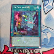 Yugioh AE a case for K9 DBJH-AE040 PN original