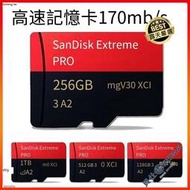 公司貨  SanDisk 高速記憶卡 1TB 512G micro sd 256G switch專用記憶卡 手