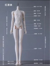 紅茶體 大四分 BJD 素體