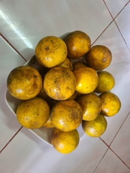 1kg Buah Limau Madu / 1kg Buah Limau Lakap