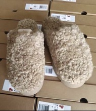 💜UGG 泰迪毛毛拖鞋