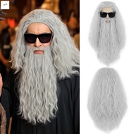 Long Gray Hobbit Wizard Wig Beard Set - Cosplay Costume for Theatrical Events