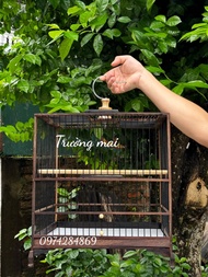 lồng chim chào mào khung lồng chim tự ráp vuông đấu thái đấu gỗ mun đuôi công nan cáp quang đen ( QC