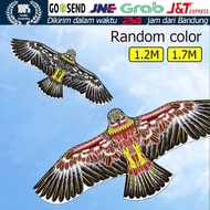 1.2/1.7 M Eagle Kite Waterproof Parachute Material/ Eagle Kites/ Kite/