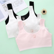 Girls Underwear Developmental Pure Cotton 12-Year-Old Girls Underwear Big Children Small Vest First 