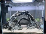 小型水族箱，含造景(Yiding 魚缸）ADA