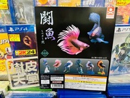 ⚠️現貨$188/套，不設留貨先到先得⚠️  stasto 扭蛋 日本版  闘魚 鬥魚 造型公仔扭蛋 有座枱  全6種  【樹皮天堂 香港 旺角 好景店】  營業時間：星期一至日 17:00-21:0