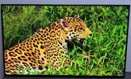 Panasonic 58吋 58inch JX700H 4K Smart TV 智能 電視