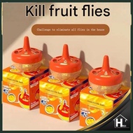 [Malaysia Ready Stock] Fly Killer Bait, Fly Killer, Catcher, Small Fly Killer Fruit Fly Trap Insecti