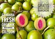 Buah Gandaria fresh organik 1 kg baru petik  - Buah Jatake mentah 1 kg