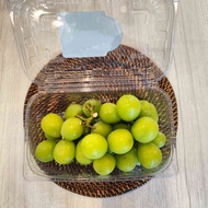shine muscat grapes price Price & Voucher Oct 2026 | BigGo Philippines