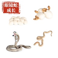 Children Simulation Snake Model Python Cobra Growth Cycle Sidewinder Amphibious Reptile Toy Ornament