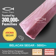 Ocean Papa Belacan Segar Gred A (500g+-) / Shrimp Paste
