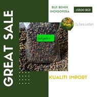 Benih Indigofera Zollingeriana Gred AA (±3500biji)