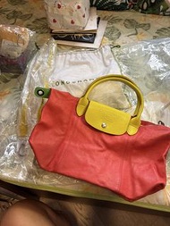 LongChamp Small le pliage cuir bag