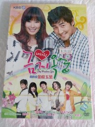 (頁七十A) (包平郵費)  韓劇：全新 我的愛 金枝玉葉dvd