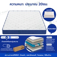 🔥S-Hotel supplies 🔥ที่นอนยางพารา ที่นอนสปริง หนา8นิ้ว 3ฟุต 3.5ฟุต 4ฟุต 5ฟุต 6ฟุต ลดอาการปวดหลัง มีหล