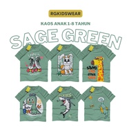 RGKids Sage Green Series Unisex Boys' T-Shirt 4-12 Years baju budak lelaki tshirt budak lelaki baju 