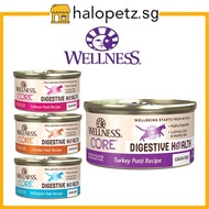 Wellness Core Digestive Health Pate Wet Can Cat Food 3oz