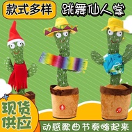 Cactus dancingcactus'Singing and Dancing Cactus Cross-Border HJYI