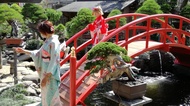 春花園盆栽美術館 和服體驗