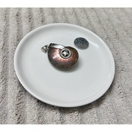斑彩螺吊坠 Ammonite Pendant