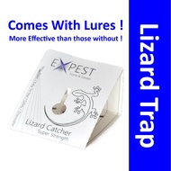 Lizard Trap ❤️ Lizard Glue Trap ❤️ 抓壁虎 ❤️ Gecko Trap ❤️ Expest Lizard Trap Sticker ❤️ Sticky Pad Liz