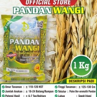 Terlaris!! Bibit Padi Pandan Wangi