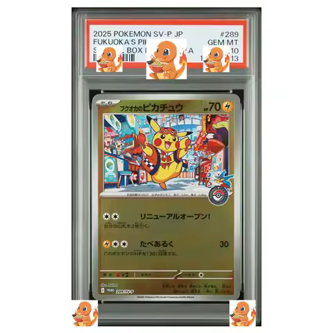 Diy Self Pokemon TOHOKU'S PIKACHU FUKUOKA'S PIKACHU HIROSHIMA'S PIKACHU Consecutive Numbering Collec
