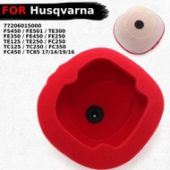 Elemen Penapis Udara Masuk Untuk Husqvarna FS450 FE501 FE350 FE250 TE250 FC250 TC125 TC250 FC450 TC8
